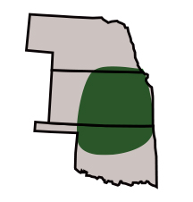 Bob Dole area of primary adaptation