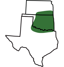 SY Llano area of primary adaptation