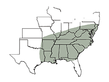 SY Miskin Area of Adaptation