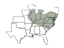 SY 100 Adaptation Map