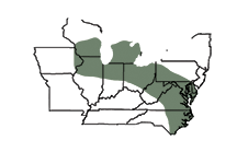 SY 483 Area of Adaptation