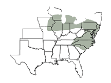 SY 576 Area of Adaptation