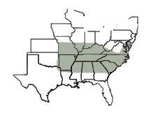 Oakes Area of Adaptation