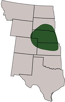 AP Baldy Area of Adaptation