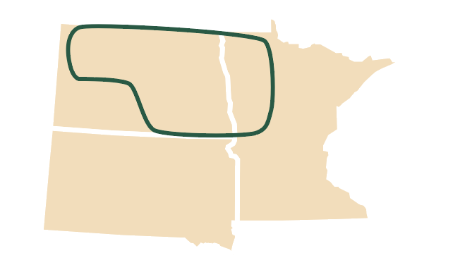 Area of Primary Adaptation