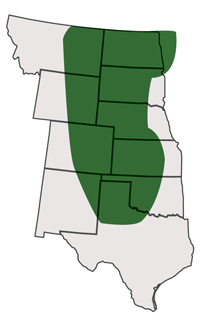 Area of primary adaption