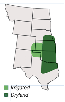 AP Prolific area of primary adaption