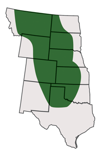 AP Sunbird Adaption Map