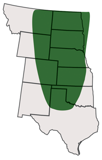 SY Wolverine Area of Adaptation