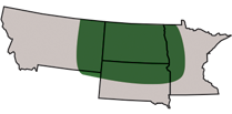 AP Iconic Area of Primary Adaotation